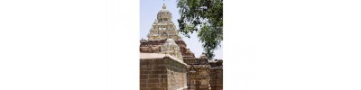 33. திருவைகுந்த விண்ணகரம்